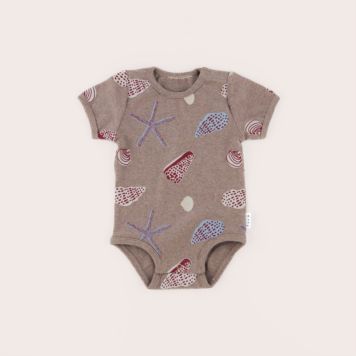 Shells Short Sleeve Bodysuit – Olive and the Captain